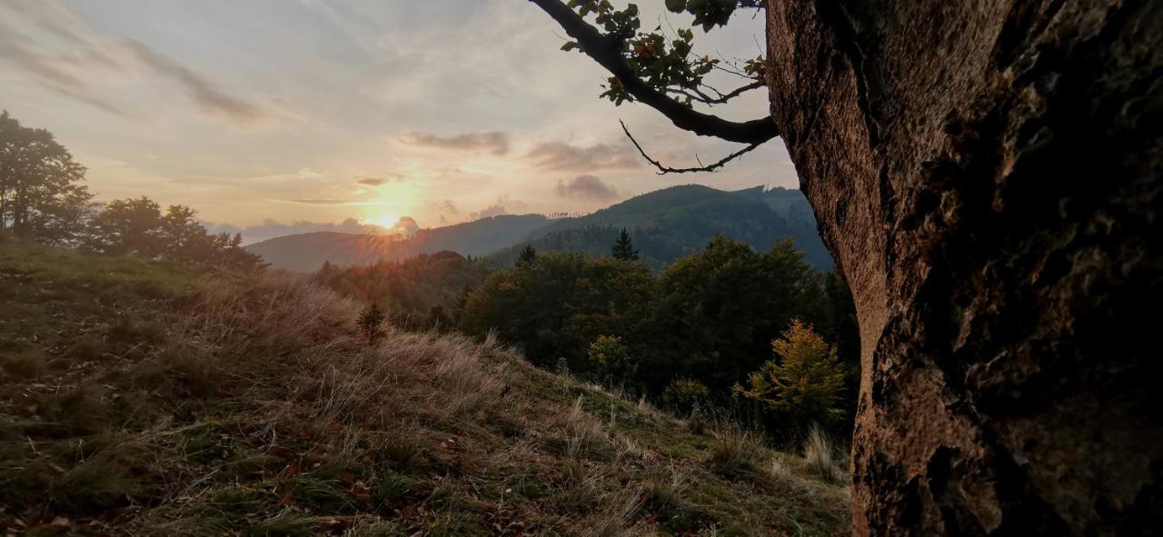 Penzion Rzehaczek Dolní Lomná Exteriör bild