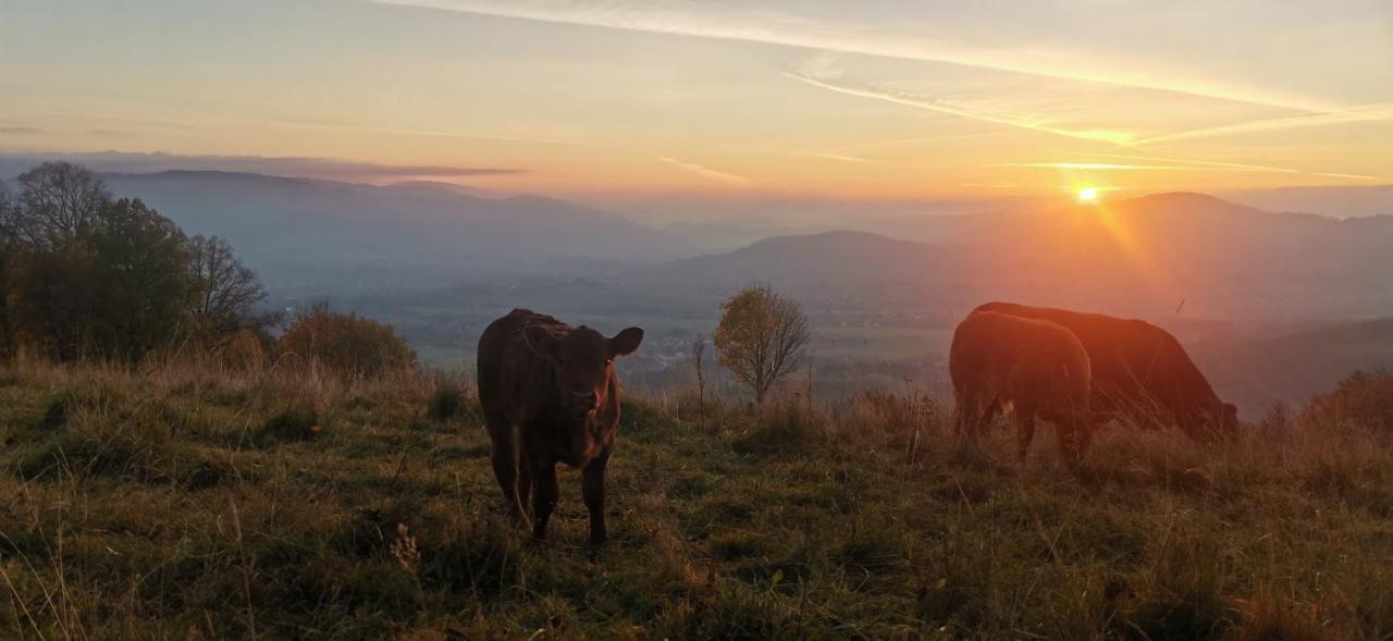 Penzion Rzehaczek Dolní Lomná Exteriör bild