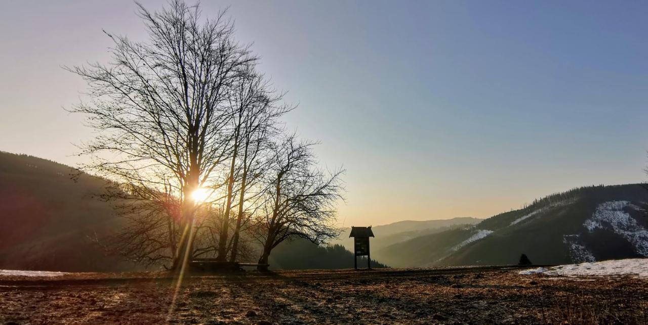 Penzion Rzehaczek Dolní Lomná Exteriör bild