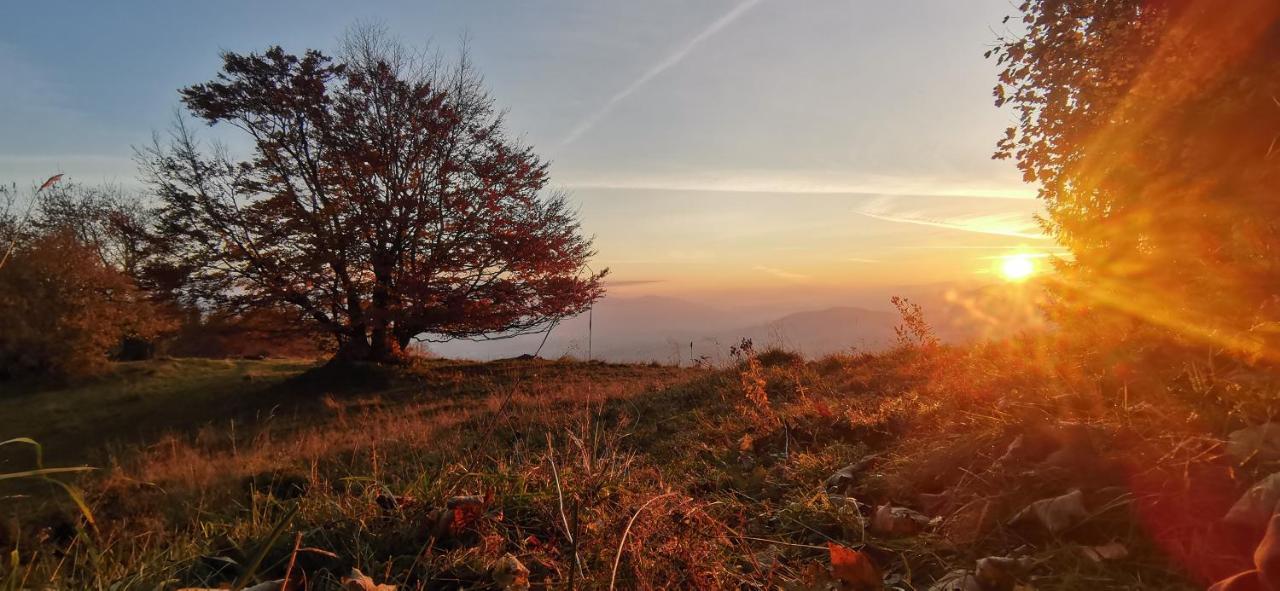 Penzion Rzehaczek Dolní Lomná Exteriör bild