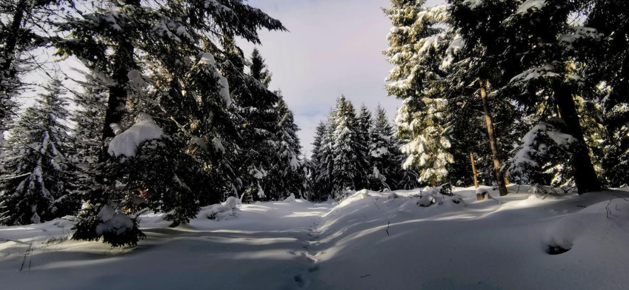 Penzion Rzehaczek Dolní Lomná Exteriör bild