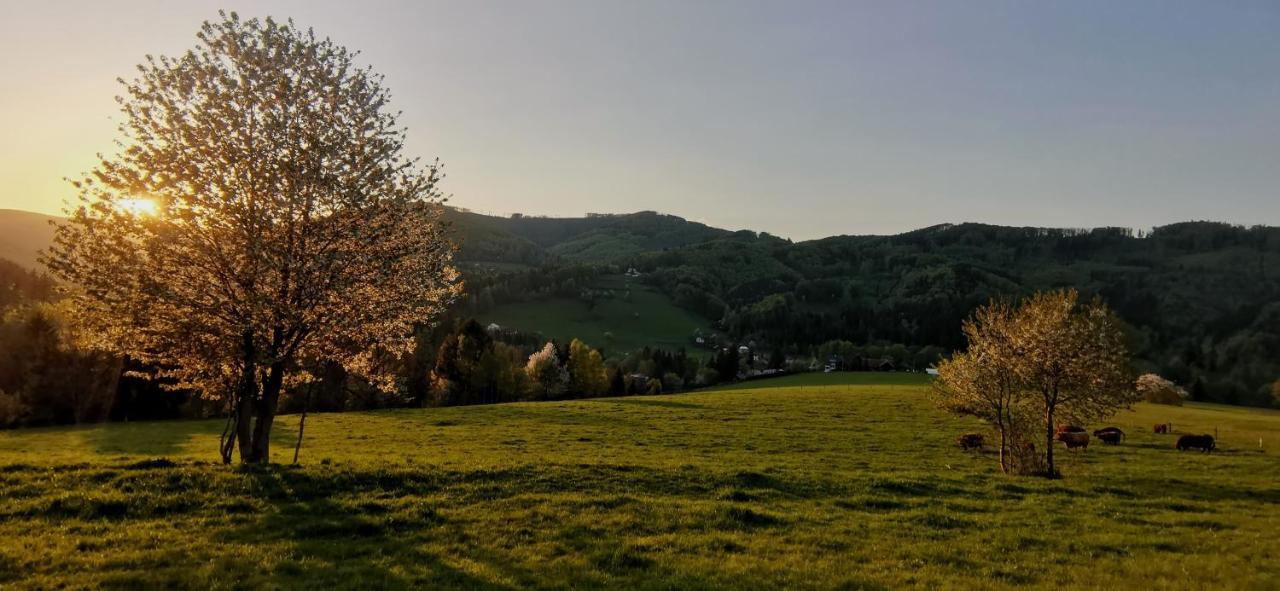 Penzion Rzehaczek Dolní Lomná Exteriör bild