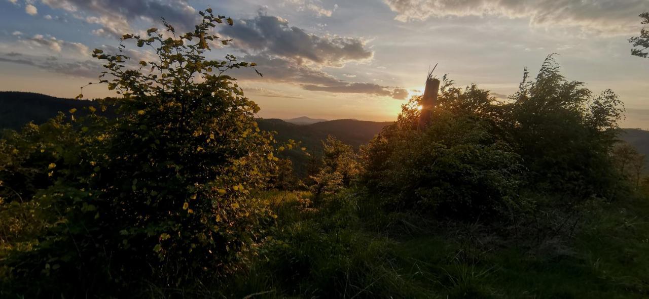 Penzion Rzehaczek Dolní Lomná Exteriör bild