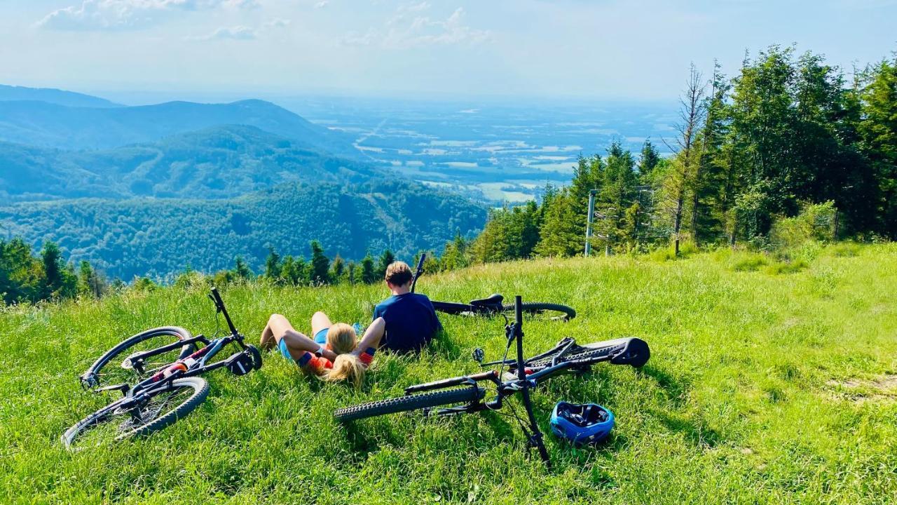 Penzion Rzehaczek Dolní Lomná Exteriör bild