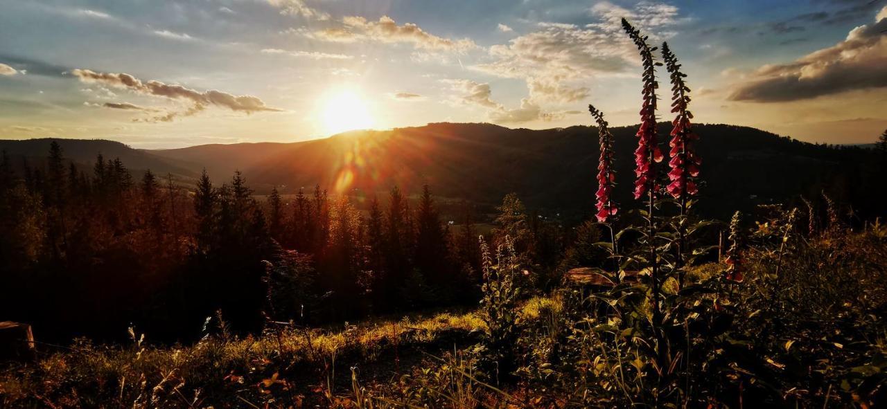 Penzion Rzehaczek Dolní Lomná Exteriör bild