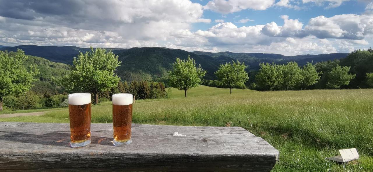 Penzion Rzehaczek Dolní Lomná Exteriör bild