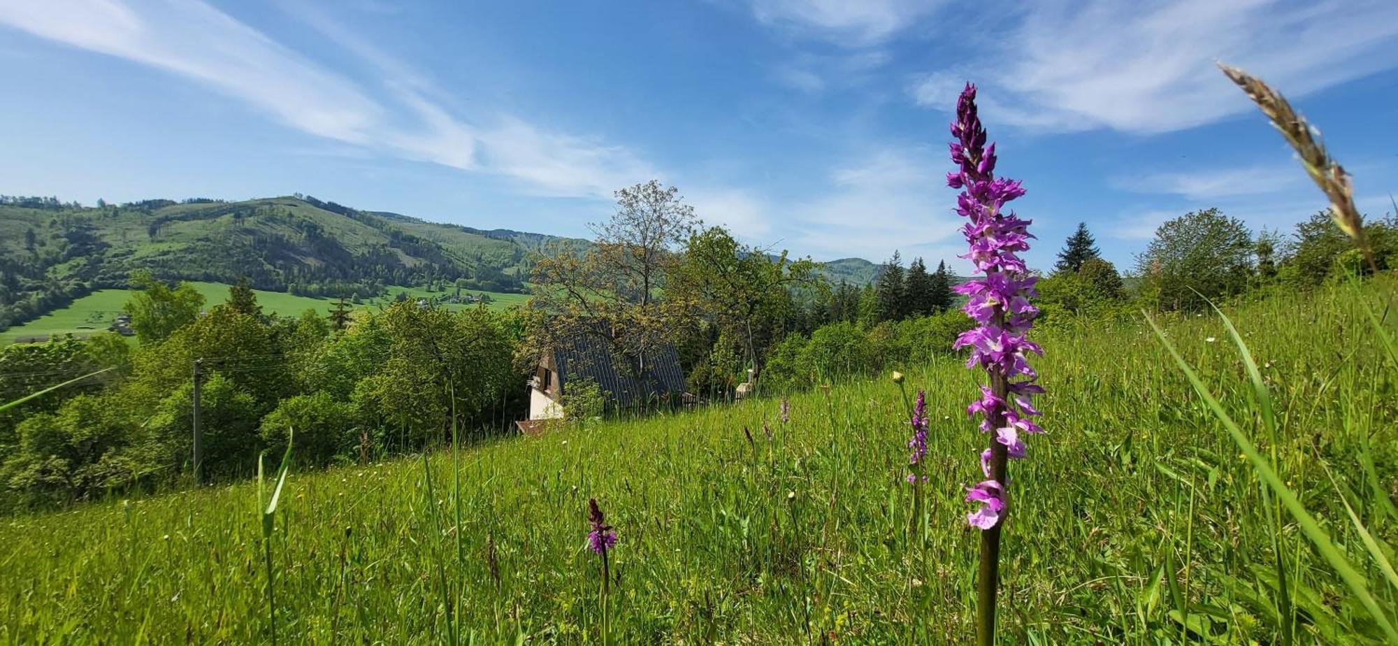 Penzion Rzehaczek Dolní Lomná Exteriör bild